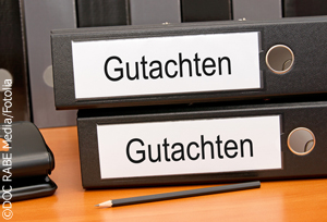 gutachten_01